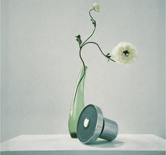 THE FILTERED SHOWERHEAD