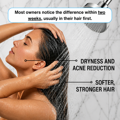 THE FILTERED SHOWERHEAD