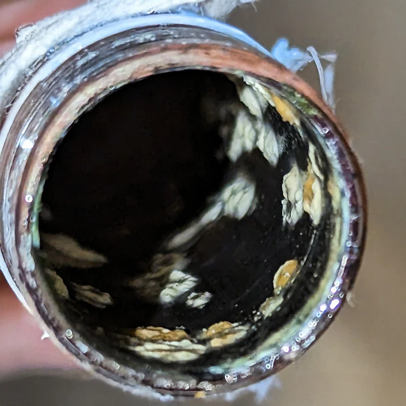 Inside of an old residential pipe showing rust, scale, and bacterial buildup