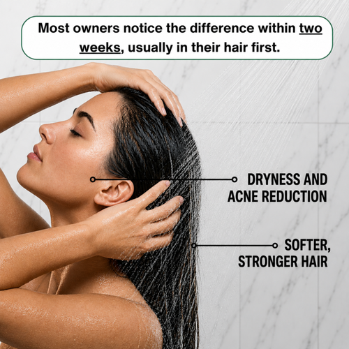 THE FILTERED SHOWERHEAD